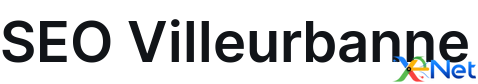 SEO Villeurbanne