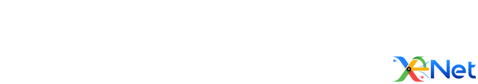 SEO Villeurbanne